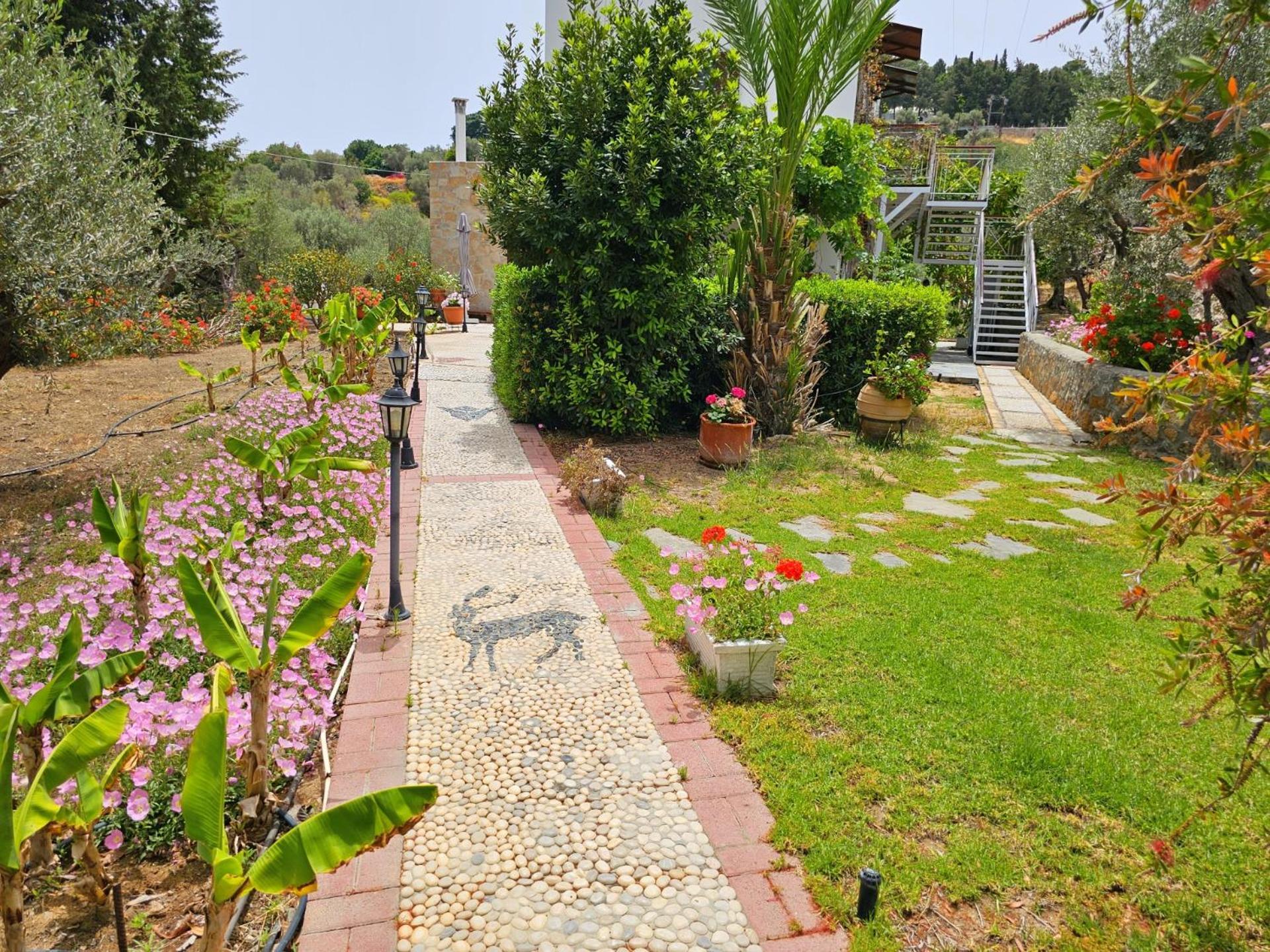 Galini View Apartments Lindos ภายนอก รูปภาพ
