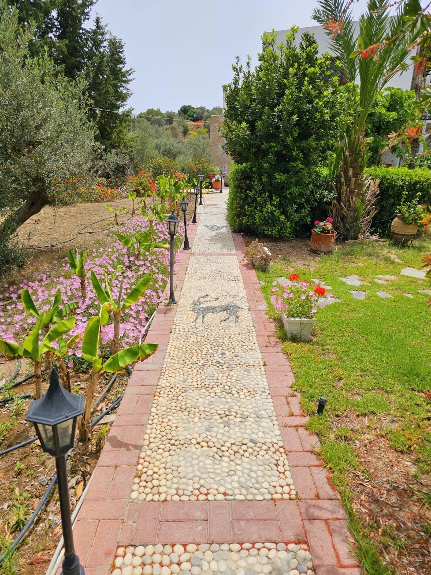 Galini View Apartments Lindos ภายนอก รูปภาพ